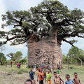 Single-day Packages: Explore Giant Baobabs in Morombe | Velondriake (Andavadoaka)