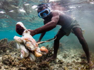 Beach & Water Excursions: Spearfishing Adventure in Andavadoaka | Velondriake (Andavadoaka)