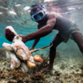 Beach & Water Excursions: Spearfishing Adventure in Andavadoaka | Velondriake (Andavadoaka)