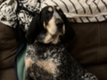   : Sookie 