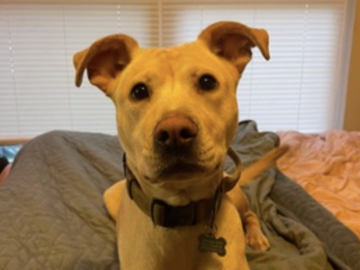   : Leila