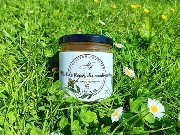 Les miels : Miel toutes fleurs 