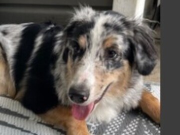   : Luca