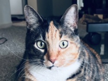   : Sasha
