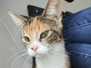   : Luna