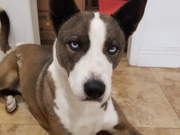   : Luna