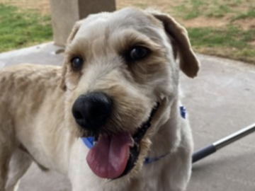  : Duke