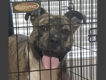   : Zeus