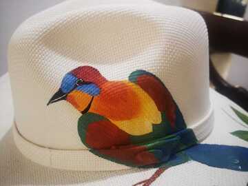 Productos: Hermosos Sombreros Pintados a mano