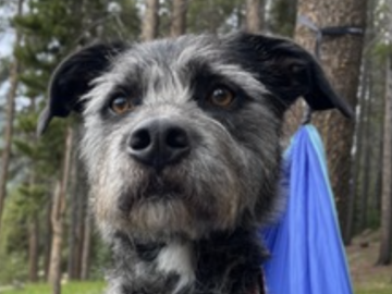   : Benny