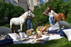 Offering with deposit : Central Park Picnic by Mangia 