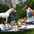 Offering with deposit : Central Park Picnic by Mangia 