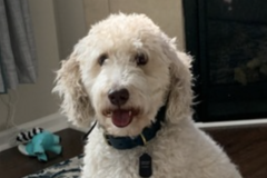   : Beauregard Haymish