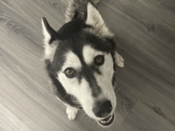   : Lexie 