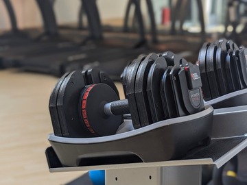 Wellness Session Single: Personal Training with Sanaz