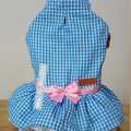 Productos: ropa  para mascotas