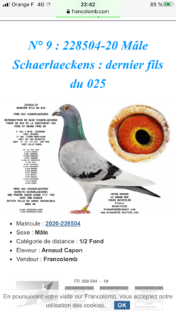 Vends mâle 