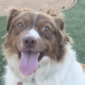   : Nala