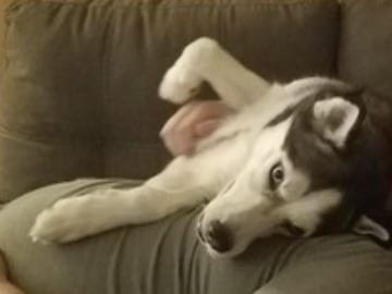   : Mika