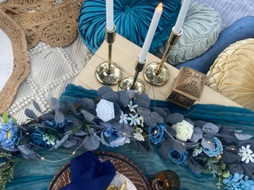 Offering with deposit : Central Valley’s Premier Luxury Picnic Co. Plush Picnic and Party