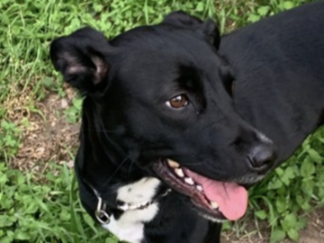   : Sophie