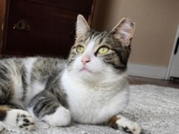   : Oliver