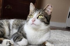   : Oliver