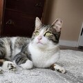   : Oliver
