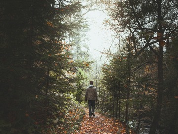 Wellness Session Group: Fall into Wellness: Supporting Mental and Emotional Health