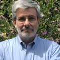 Learn More: Richard Sander