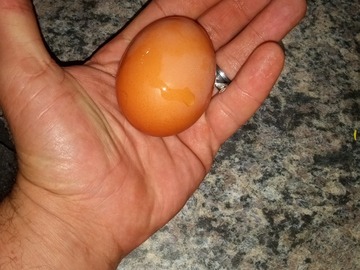 Selling with In-person Payment: Farm fresh eggs