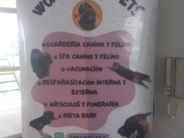 Servicios: Wonderful Pets