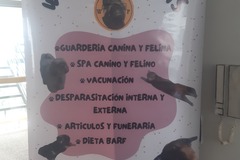 Servicios: Wonderful Pets
