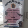Servicios: Wonderful Pets