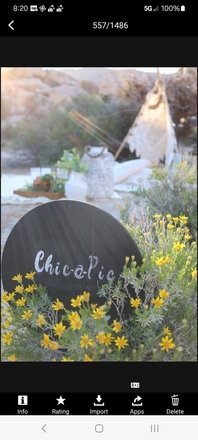 Luxury Elopements in San Diego