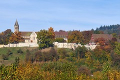 Termin: STAUFERMARKT 21. - 22. September 2024 Kloster Lorch - D
