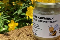 Les miels : Miel toutes fleurs cremeux