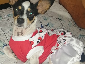 Productos: confecciones patitas alegres 