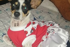 Productos: confecciones patitas alegres 