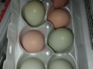 Selling with In-person Payment: Farm fresh eggs 