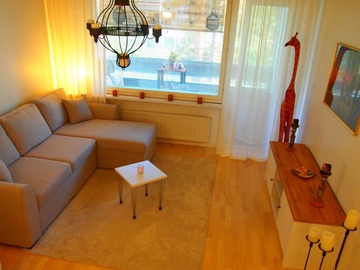 Annetaan vuokralle: spacious fully furnished one-bedroom apartment