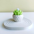 Productos: TerraCraft 