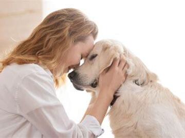 Wellness Session Packages: Improve Pet Behavior in Days: Emotion Code with Anne Alexis 