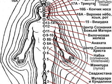 Wellness Session Single: High level aura, and holistic energy clearance with Alexander