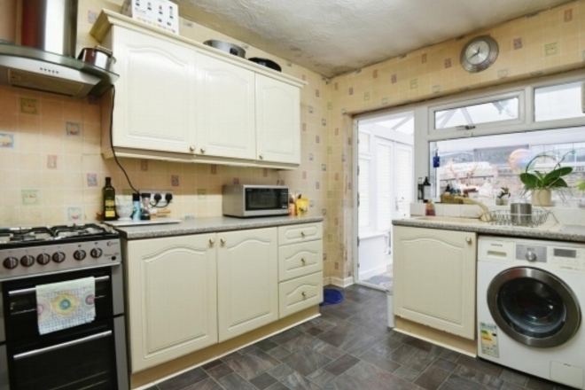 If you love cats, read on! - Female - Manchester