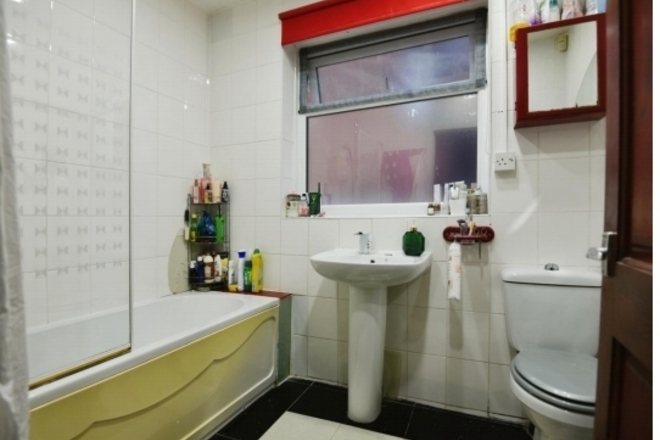 If you love cats, read on! - Female - Manchester