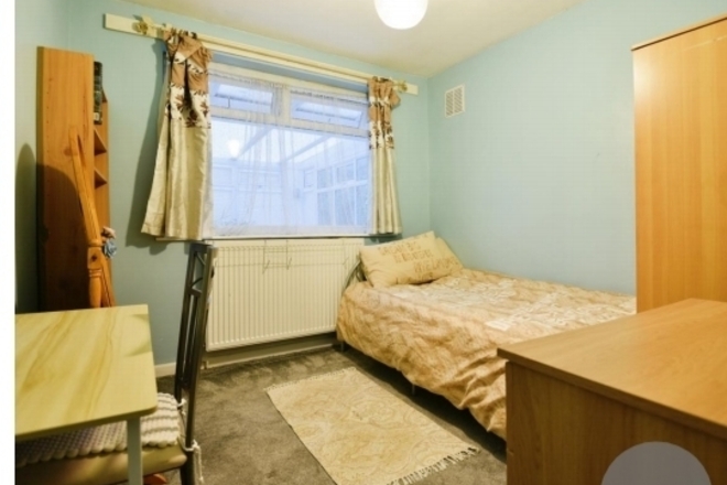 If you love cats, read on! - Female - Manchester