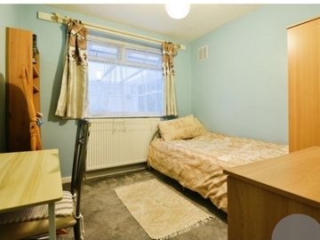 Room Available: If you love cats, read on! - Female - Manchester