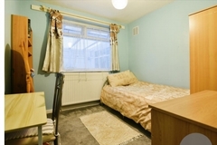 Room Available: If you love cats, read on! - Female - Manchester