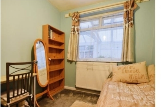 If you love cats, read on! - Female - Manchester